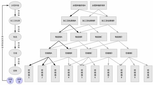 區塊鏈技術在食品溯源領域的應用探究